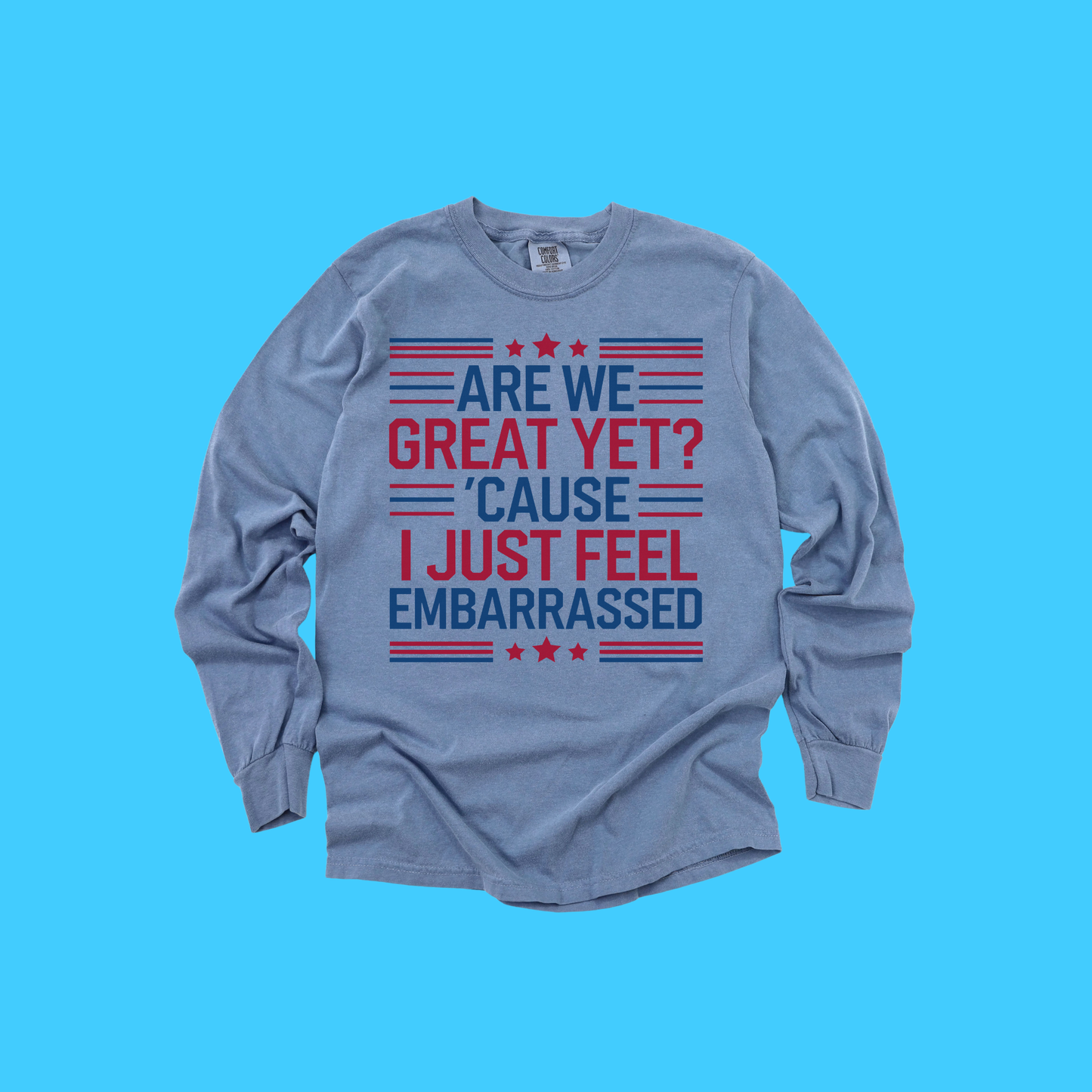 Patriotic Sarcastic Long Sleeve T-Shirt – Vintage Wash Soft Cotton Tee | Funny Political Protest Graphic Shirt