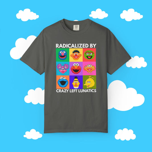 radicalized by crazy left lunatics - Resist Supply #