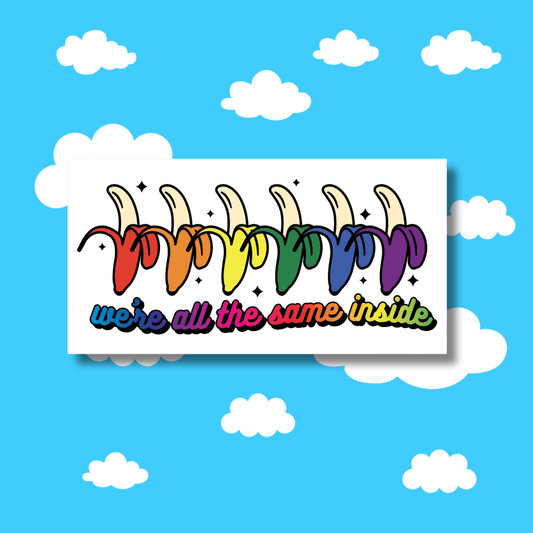 We're All The Same Color On The Inside Bumper Sticker - Resist Supply #