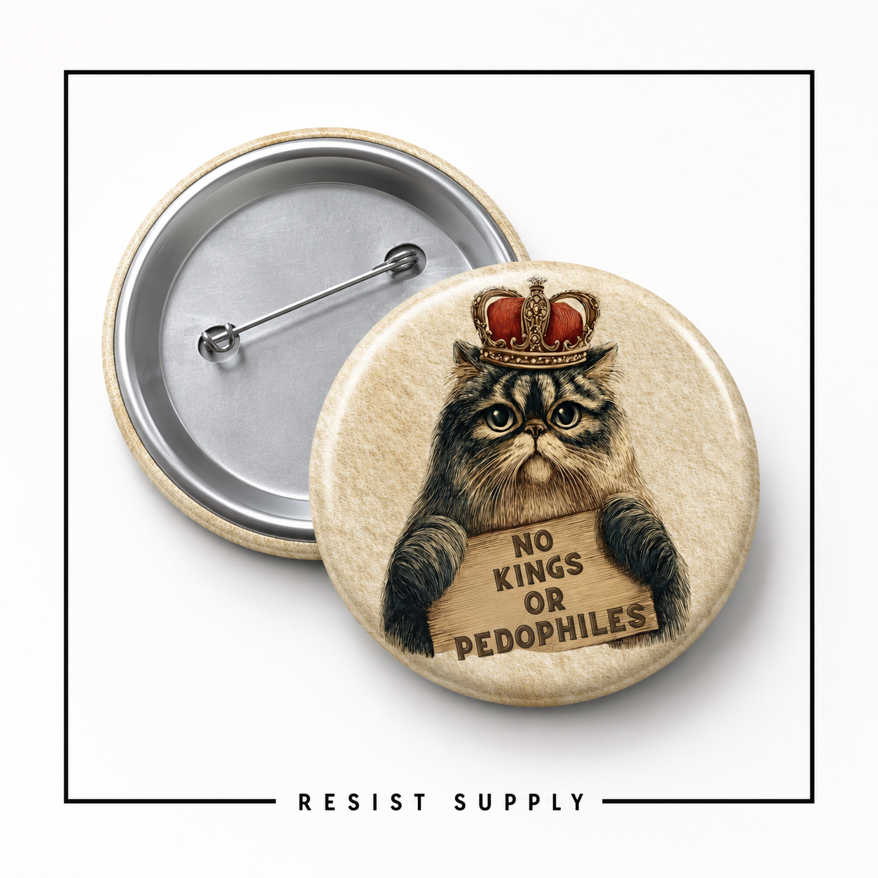 No Kings or Pedophiles Cat Pin Button — Anti-Abuse Protest Lapel Pin