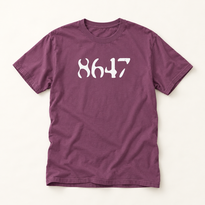 Retro 8647 Anti Trump T-Shirt