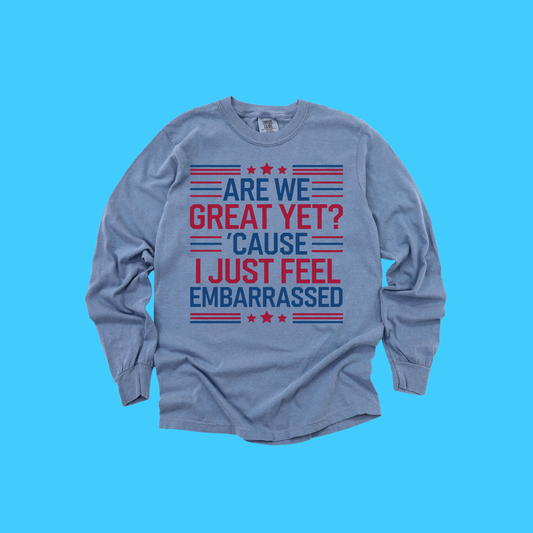 Patriotic Sarcastic Long Sleeve T-Shirt – Vintage Wash Soft Cotton Tee | Funny Political Protest Graphic Shirt