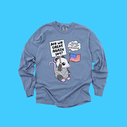 ARE WE GREAT YET? LONG SLEEVE TEE - Resist Supply
