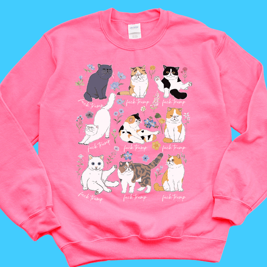 Subtle Kitty FDT Sweatshirt - Resist Supply