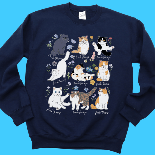 Subtle Kitty FDT Sweatshirt - Resist Supply